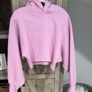 Vitality Cropped Hooded Sweatshirt in Light Pink